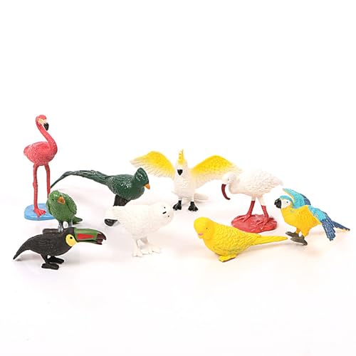 SIXRUN 10 Mini -Vögel Findet Unterschiedliche Stile Lebendige Farben Lebensechte Details für Dekoration, DIY, Vogeltierspielzeug von SIXRUN