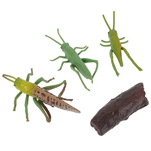 SKISUNO 1satz Insekten-wachstumszyklus-Modell Für Kinderzimmerdekoration Pädagogisches Spielzeug Zur Darstellung des Lebenszyklus Von Heuschrecken Realistische Figuren Vorstellungskraft SKISUNO 1satz Insekten-wachstumszyklus-Modell Für Kinderzimmerdekoration Pädagogisches Spielzeug Zur Darstellung des Lebenszyklus Von Heuschrecken Realistische Figuren Vorstellungskraft von SKISUNO