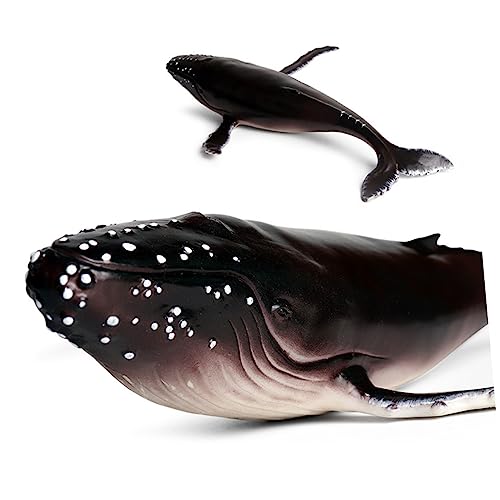 SKISUNO 1 Stück Realistisches Humpback Wal Modell aus Hochwertigem Kunststoff Dekorationsfigur für Zuhause Büro Cafe und Mehr Kreatives Lebensmodell als Sammlerstück SKISUNO 1 Stück Realistisches Humpback Wal Modell aus Hochwertigem Kunststoff Dekorationsfigur für Zuhause Büro Cafe und Mehr Kreatives Lebensmodell als Sammlerstück von SKISUNO