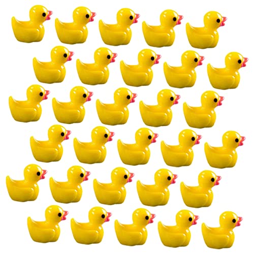 SKISUNO 100Stücke Miniatur Figuren Dekorative Resin Enten für Miniaturgärten Pflanzendekoration und Bastelprojekte für Familie und Freunde von SKISUNO