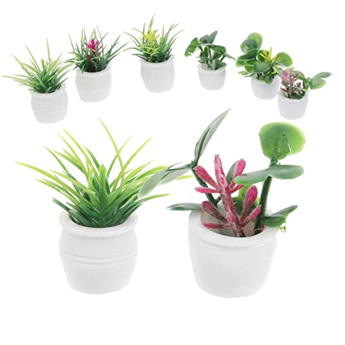 SKISUNO 14Stücke Teiliges Pflanzen Modell für Puppenhaus Dekoration für Miniaturgarten Bonsai Accessoires und Desktop Ornamente Kleine Künstliche Pflanzen für Kreative SKISUNO 14Stücke Teiliges Pflanzen Modell für Puppenhaus Dekoration für Miniaturgarten Bonsai Accessoires und Desktop Ornamente Kleine Künstliche Pflanzen für Kreative von SKISUNO