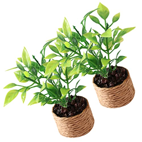 SKISUNO 2Stücke Miniaturpflanzen Künstliche Topfpflanzen für Puppenhaus Dekoration Realistische Miniatur Bonsai für Kleine Räume und Tischmittelstücke SKISUNO 2Stücke Miniaturpflanzen Künstliche Topfpflanzen für Puppenhaus Dekoration Realistische Miniatur Bonsai für Kleine Räume und Tischmittelstücke von SKISUNO