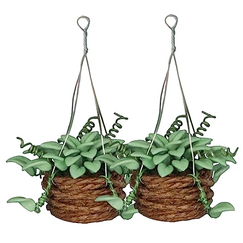 SKISUNO 2Stücke Pflanzenmodell Künstliche Topfpflanzen für Puppenhäuser Dekoration für Schreibtische und Fensterbänke Realistische Bonsai Figuren mit Feiner SKISUNO 2Stücke Pflanzenmodell Künstliche Topfpflanzen für Puppenhäuser Dekoration für Schreibtische und Fensterbänke Realistische Bonsai Figuren mit Feiner von SKISUNO