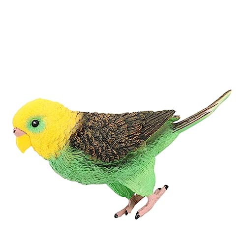 SKISUNO Budgerigar Papagei Modellspielzeug aus Hochwertigem Realistisches Dekorationsornament für Kinderzimmer Garten und Zuhause Lebensechte Farben und Formen Stabil Glatten Oberflächen von SKISUNO