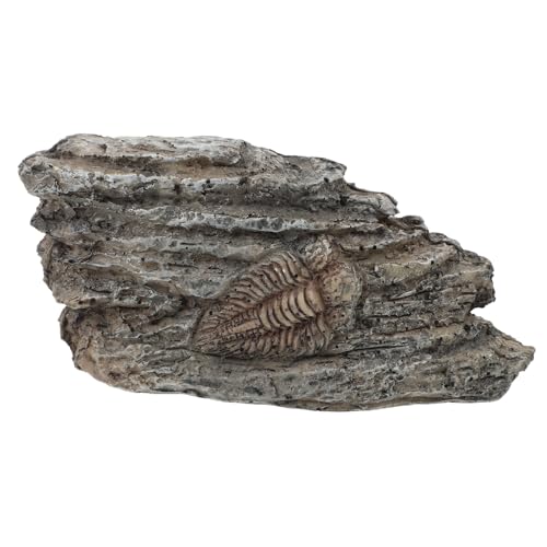 SKISUNO Fossiles Exemplar Trilobiten-fossildekoration Entomologie-set Authentisches Trilobitenfossil Paläontologisches Trilobitenfossil Modelle Harz Statue Kind Reptil von SKISUNO