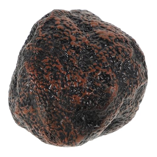 SKISUNO Kinder Küche Spielzeugsimulation Food Spielzeug Miniatur Schwarz Trüffel Bonsai Dekoration Frühaufschuldung Spielzeug Simulation Küche Spielzeug Kinder Accessoire SKISUNO Kinder Küche Spielzeugsimulation Food Spielzeug Miniatur Schwarz Trüffel Bonsai Dekoration Frühaufschuldung Spielzeug Simulation Küche Spielzeug Kinder Accessoire von SKISUNO