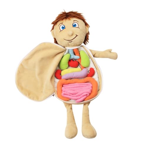 SKISUNO Lernspielzeug Organ Puzzle Plüschpuppe Weiches Menschliches Organ Lernspiel Anatomisches Stoffspielzeug für Vorschulkinder zur Körperbewusstseinsförderung für Kindergarten und SKISUNO Lernspielzeug Organ Puzzle Plüschpuppe Weiches Menschliches Organ Lernspiel Anatomisches Stoffspielzeug für Vorschulkinder zur Körperbewusstseinsförderung für Kindergarten und von SKISUNO