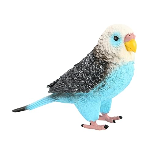 SKISUNO Lifelike Budgerigar Model Realistisches Plastikspielzeug für Zuhause Garten und Schule Fördert Tierartenbildung und Umweltbewusstsein Stabil und Langlebig von SKISUNO