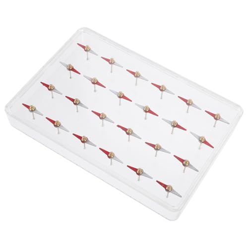 SKISUNO Magnetisches Feld Demonstrator für Schüler Physik Magnetismus Lehrmittel mit Kleinen Magnetnadeln und Feldverteilungsmodell für Mittlere Schulen Lernspielzeug von SKISUNO