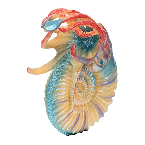 SKISUNO Nautilus Modell Aus Realistisches Tier Für Aquarien Dekoration Langlebiges Sicheres Für des Lernens Über Tierarten von SKISUNO