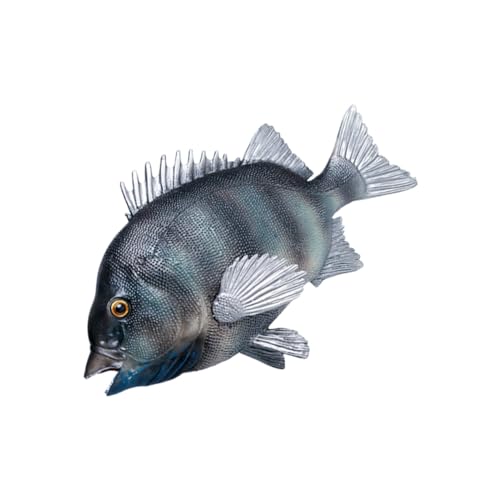 SKISUNO Plastik Fisch Modell Simulation Meerestier Lernspielzeug Aquarium Deko Figur mit Feiner Verarbeitung und Langlebigem Material von SKISUNO