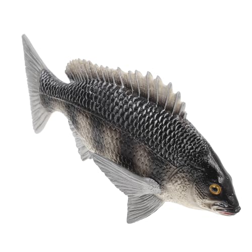 SKISUNO Realistisches Fischmodell aus Pädagogisches Tierspielzeug für Lernspielzeug Kognitiven Fähigkeiten Aquarien und Kreative SKISUNO Realistisches Fischmodell aus Pädagogisches Tierspielzeug für Lernspielzeug Kognitiven Fähigkeiten Aquarien und Kreative von SKISUNO