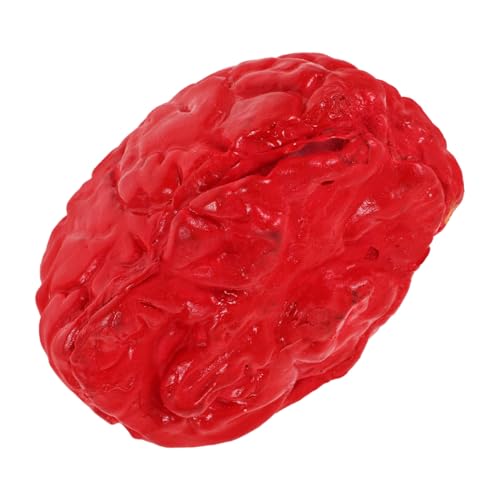 SKISUNO Realistisches Halloween Deko Gehirn Prop Leichtes Langlebiges Vielseitiges Fake Brain für Gruselige Spukhaus Partydekorationen Halloween Requisite für Innen Außenbereiche von SKISUNO
