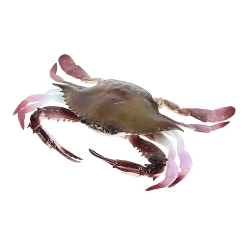 SKISUNO Realistisches Krabbenmodell aus PVC Dekoratives Aquarium zubehör Naturgetreue Meeresfigur für Heim Büroterrarium Pädagogisches für Interaktives Lernen und Geschenkidee von SKISUNO