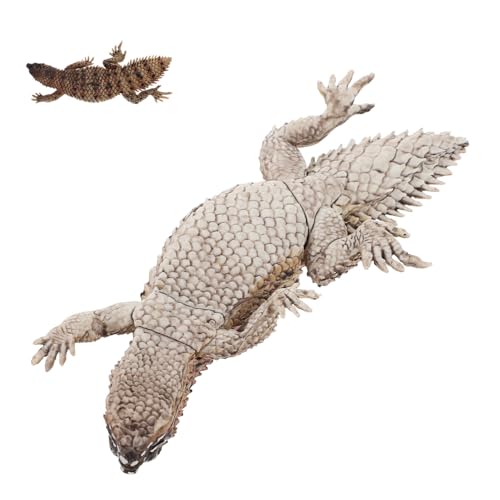 SKISUNO Realistisches Kunststoff eidechsenmodell Simulation Tierfigur Gartendekor Pädagogisches Reptilienmodell Wiederverwendbar Langlebig von SKISUNO