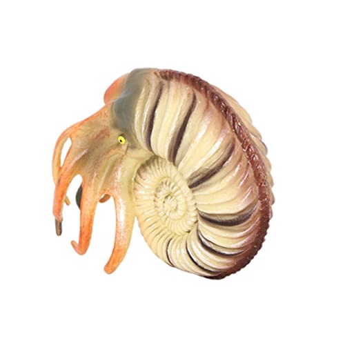 SKISUNO Simulation Nautilus Modell Realistisches Ozeantier für Langlebig Detailreich und Sicher Lernspielzeug Kognitiven Fähigkeiten von Kleinkindern von SKISUNO