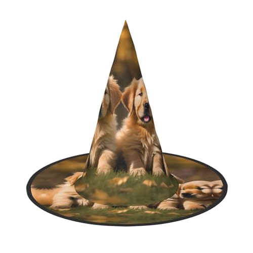 SKKNT Golden Retriever Hunde Welpen Haustiere Druck Kostüm Party Hut Karneval Halloween Hexenhut Faltbarer Hut für Themenveranstaltungen SKKNT Golden Retriever Hunde Welpen Haustiere Druck Kostüm Party Hut Karneval Halloween Hexenhut Faltbarer Hut für Themenveranstaltungen von SKKNT