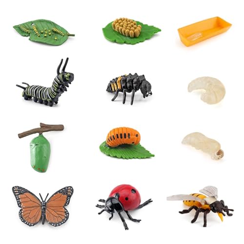 3 Sätze Mit Je 12 Insekten-Lebenszyklusmodellen, Marienkäferlarven, Bienen-Lebenszyklus, Insektenspielzeug Für Kinder, Marienkäfer Für Kinder, Insektenwachstumsmodell 3 Sätze Mit Je 12 Insekten-Lebenszyklusmodellen, Marienkäferlarven, Bienen-Lebenszyklus, Insektenspielzeug Für Kinder, Marienkäfer Für Kinder, Insektenwachstumsmodell von SLAXJNE