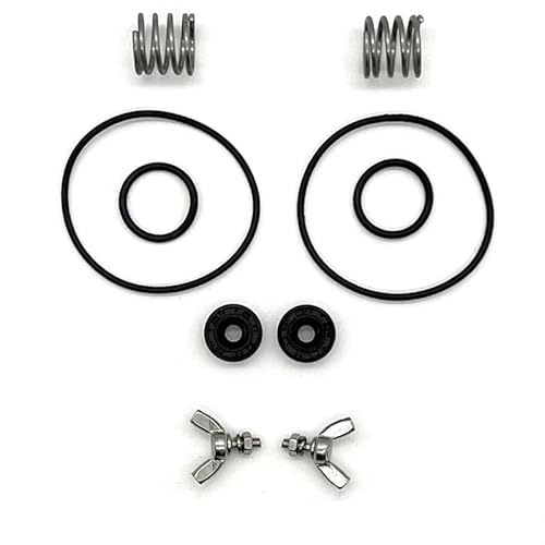 SLRQVFZY Drohne for Schutz landwirtschaftlicher Pflanzen for das Wartungsteileset for die Pumpe D-JI-T40(4 Set) von SLRQVFZY