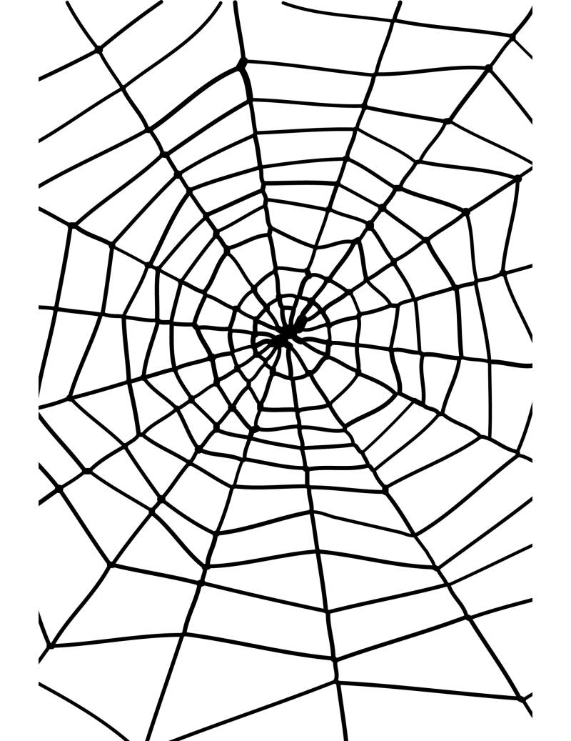 Halloween Partydeko Spinnennetz schwarz 1,50m von SMIFFY'S