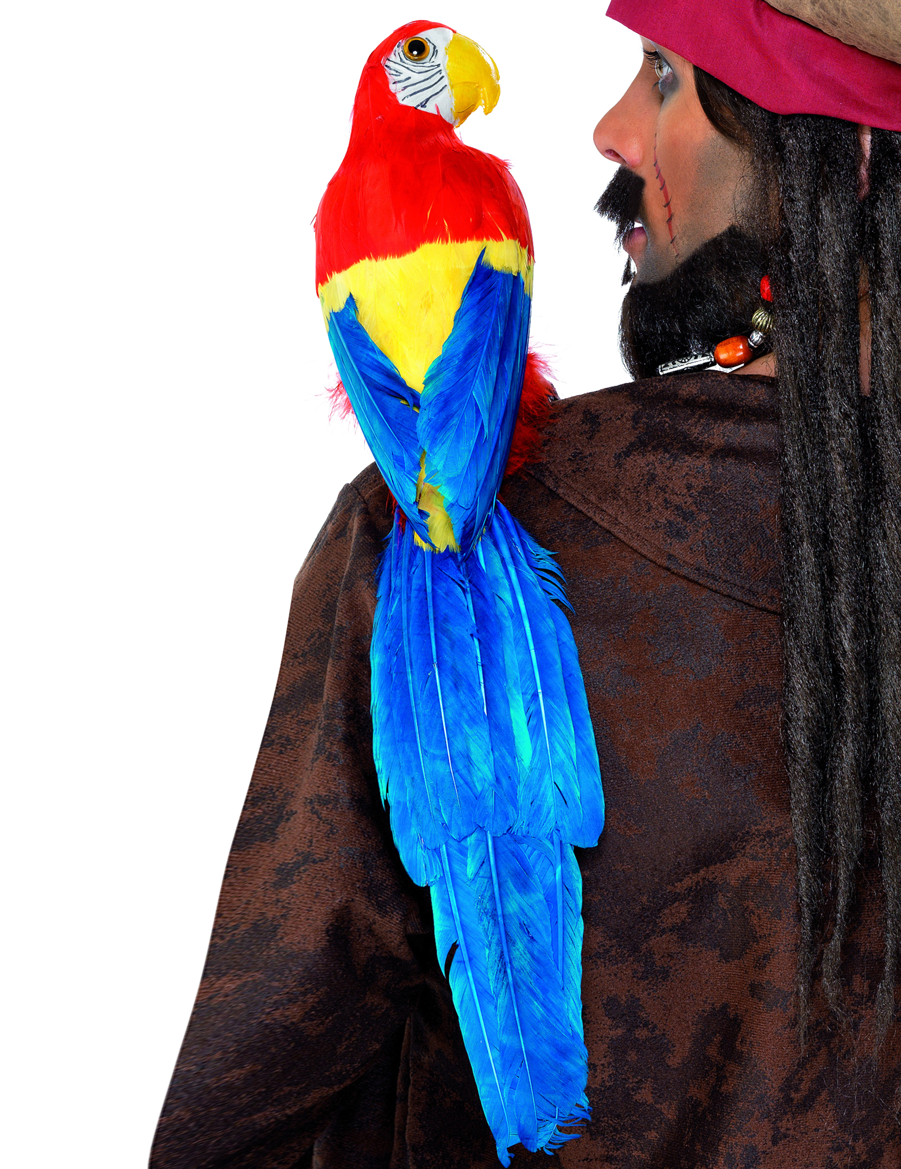 Piraten-Papagei bunt 50cm von SMIFFY'S