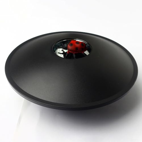 Kreatives Spielerlebnis mit holografischem 3D-Projektor zur Erforschung von Wissenschaft und Technologie (Marienkäfer) von SMZhomeone