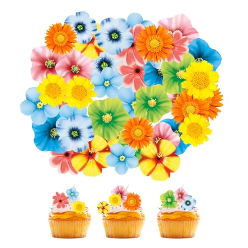 80 Stück Essbare Blumen für Torte, Essbare Blüten Tortendeko Esspapier Tortendeko Blumen Essbar Blumen Deko Torte für Cupcake Topper Geburtstagsparty Essensdekoration 80 Stück Essbare Blumen für Torte, Essbare Blüten Tortendeko Esspapier Tortendeko Blumen Essbar Blumen Deko Torte für Cupcake Topper Geburtstagsparty Essensdekoration von SNSYGN
