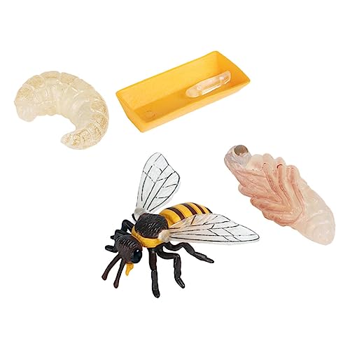 SOIMISS 1 Satz Bienen Lebenszyklus Modellspielzeug Teiliges Kognitives Lernspielzeug für Pädagogische Insektenfiguren aus Sicherem für Vorschule und Heimgebrauch von SOIMISS