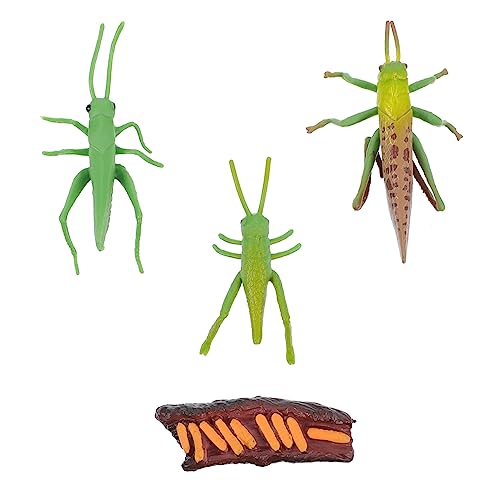 SOIMISS 1 Satz Kreatives Figurinen Set für Schreibtisch Realistische Insekten Dekorationen für Frühkindliche Bildung und Lebenszyklus für Garten und Wohnaccessoires SOIMISS 1 Satz Kreatives Figurinen Set für Schreibtisch Realistische Insekten Dekorationen für Frühkindliche Bildung und Lebenszyklus für Garten und Wohnaccessoires von SOIMISS