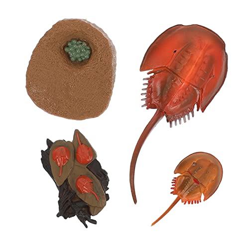 SOIMISS 1 Satz Mini Simulation Ozeanlebewesen Set Lehrspielzeug für Lebenszyklus Modelle Realistische Figuren für Kreativität und Heimdeko SOIMISS 1 Satz Mini Simulation Ozeanlebewesen Set Lehrspielzeug für Lebenszyklus Modelle Realistische Figuren für Kreativität und Heimdeko von SOIMISS