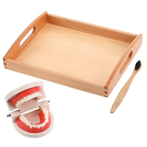 SOIMISS 1 Set Erkennungsspielzeug Lernspielzeug Kinderputzspielzeug Für Spielzeugzähne Kinderzähne Lehrzähne Zahnlehrmittel Lehrmaterial Mundspielzeug Aus Holz SOIMISS 1 Set Erkennungsspielzeug Lernspielzeug Kinderputzspielzeug Für Spielzeugzähne Kinderzähne Lehrzähne Zahnlehrmittel Lehrmaterial Mundspielzeug Aus Holz von SOIMISS
