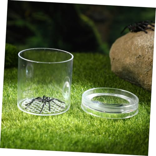 SOIMISS 10 Stück Teiliges Insektenbeobachtungsset mit Transparenten Vergrößerungslupen Beobachtungsbehälter für Kleine Insekten Terrarium für Naturerkundung Konzentration SOIMISS 10 Stück Teiliges Insektenbeobachtungsset mit Transparenten Vergrößerungslupen Beobachtungsbehälter für Kleine Insekten Terrarium für Naturerkundung Konzentration von SOIMISS