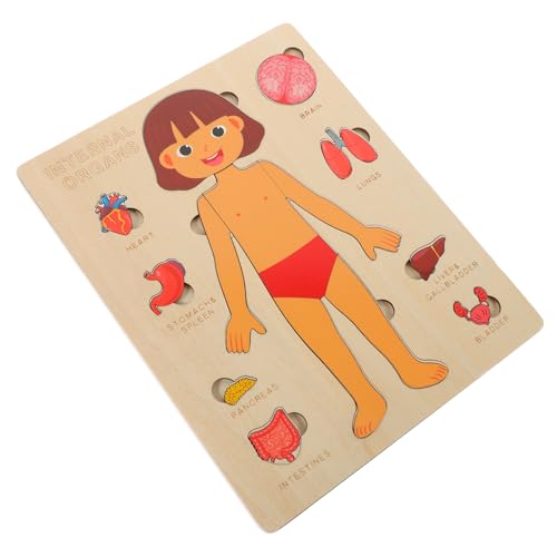 SOIMISS 1Satz Humankörper Puzzle Anatomisches Lernspielzeug für Fördert die Erkenntnis Körperstruktur für Vorschule und Zuhause SOIMISS 1Satz Humankörper Puzzle Anatomisches Lernspielzeug für Fördert die Erkenntnis Körperstruktur für Vorschule und Zuhause von SOIMISS
