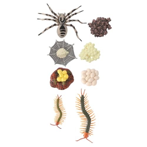 SOIMISS 2 Sätze Realistisches Tarantula und Vielfüßer Lebenszyklus Modell Lernspielzeug Leichtes Kunststoffmaterial Fördert Biologische Kognition und Naturverständnis von SOIMISS