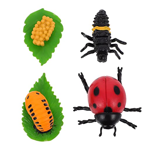 SOIMISS 4 Stück Marienkäfer Wachstumsmodell Kleinkind Lustiges Für Zykluswanzen Kinderfigur Dekorationen Marienkäfer Wissenschaftsspielzeug Marienkäfer Kunststoff von SOIMISS