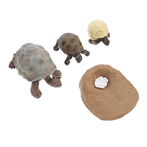 SOIMISS 4 Stück Totortoise Ornament Model Schildkrötenfigur Schildkrötenwachstumszyklus schmücken kleine Spielzeugschildkröte Lebenszyklusfiguren PVC Zufällige Farbe SOIMISS 4 Stück Totortoise Ornament Model Schildkrötenfigur Schildkrötenwachstumszyklus schmücken kleine Spielzeugschildkröte Lebenszyklusfiguren PVC Zufällige Farbe von SOIMISS
