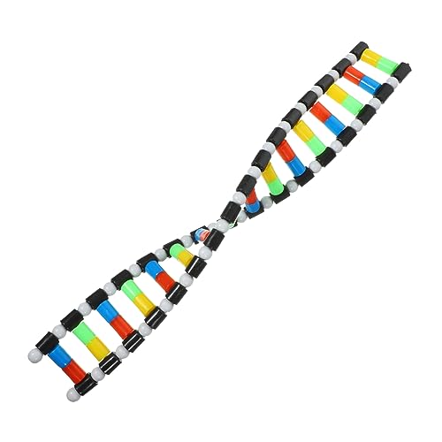 SOIMISS Biologische Lehrmittel Modell Kleine Biologie Lehrmittel Für Strangbiologie Modell Display Wissenschafts Modellbau Kit Klassenzimmer Must Haves Doppelhelix Struktur DNA von SOIMISS
