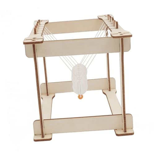 SOIMISS DIY Newton Pendulum Experimentierkasten Physik Experiment Wissenschaftliches Bewegungs Bausatz für Schüler und Erwachsene zur Beobachtung von Energie und Impulserhaltung von SOIMISS