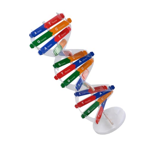 SOIMISS DNA Modell Doppelhelix Anschauliches Wissenschaftliches Lehrmittel für Schulunterricht Biologie DIY Lernspielzeug für Mädchen und Jungen Klassenzimmer Lehrhilfe Zufällige Farbe SOIMISS DNA Modell Doppelhelix Anschauliches Wissenschaftliches Lehrmittel für Schulunterricht Biologie DIY Lernspielzeug für Mädchen und Jungen Klassenzimmer Lehrhilfe Zufällige Farbe von SOIMISS
