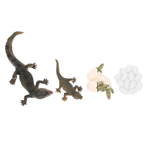SOIMISS Lebenszyklus Krokodil Modellset Teilig Pädagogisches Realistische Tierfiguren zur Frühkindlichen Bildung für Naturerlebnis und Lernspiele von SOIMISS