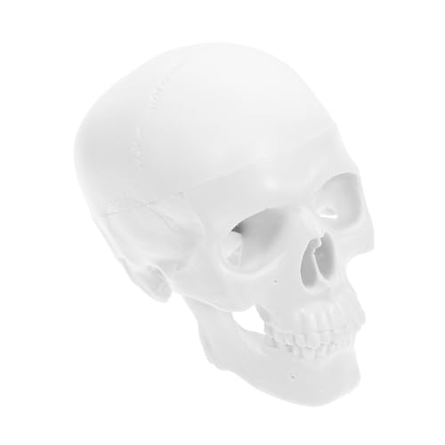 SOIMISS Mini Schädelmodell aus Anatomisches Modell mit Beweglichem für Studium Dekoration und Halloween Realistisches Design für Studierende Tischornament SOIMISS Mini Schädelmodell aus Anatomisches Modell mit Beweglichem für Studium Dekoration und Halloween Realistisches Design für Studierende Tischornament von SOIMISS