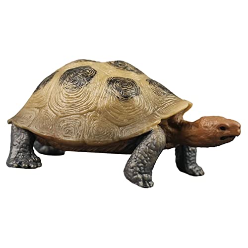 SOIMISS Realistische Land Schildkröten Figur Detailgetreues Tiermodell Bunte Gartendeko und Lernspielzeug für Langlebige Kunststoff Deko für Garten und Zimmer von SOIMISS