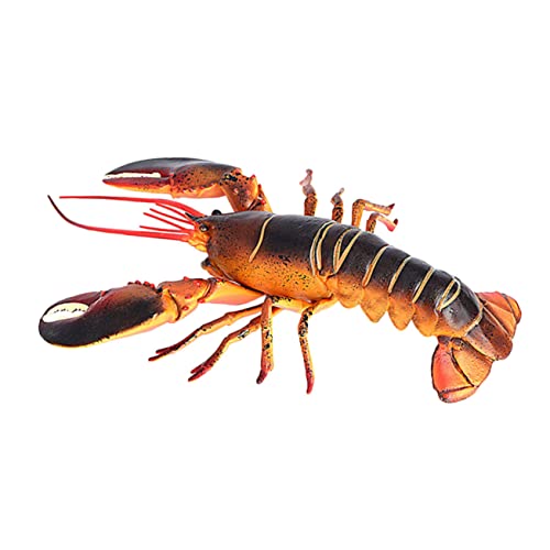 SOIMISS Realistisches Großes Hummer Modell Simulationstierfigur Dekorative Hummerfigur für Garten und Party Lernspielzeug für Tierkunde Leicht und Einfach zu Platzieren SOIMISS Realistisches Großes Hummer Modell Simulationstierfigur Dekorative Hummerfigur für Garten und Party Lernspielzeug für Tierkunde Leicht und Einfach zu Platzieren von SOIMISS