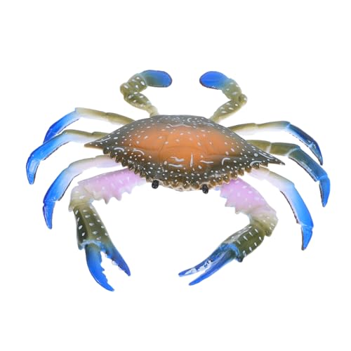 SOIMISS Realistisches Krabbenmodell aus Kunststoff Organismen Figur für Pädagogisches Meerestiere Langlebig Abriebfest als Tisch Gartendekoration SOIMISS Realistisches Krabbenmodell aus Kunststoff Organismen Figur für Pädagogisches Meerestiere Langlebig Abriebfest als Tisch Gartendekoration von SOIMISS