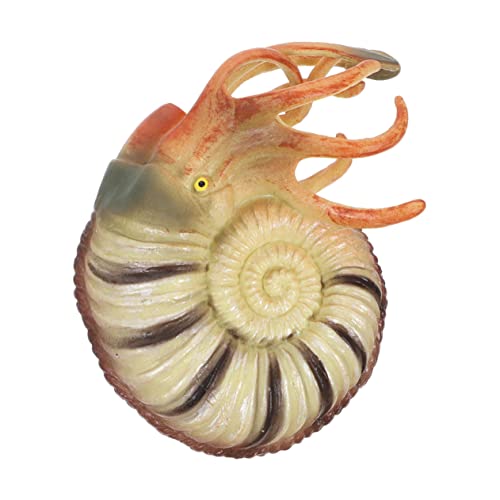 SOIMISS Realistisches Nautilus Modell Tierfigur Verarbeitung Pädagogisches Meerestier Aquarium Deko für Langlebiges Simulation Ocean Animal Ornament von SOIMISS
