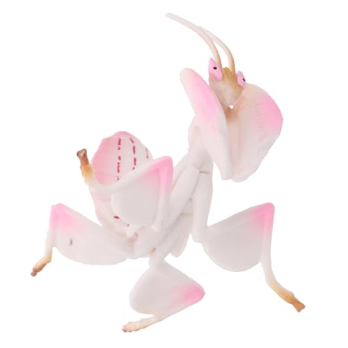 SOIMISS Simulation Mantis Figur Insektenmodell Desktop Dekoration für Fördert Kognitive Fähigkeiten für Schule Zuhause Interaktives Lernspielzeug von SOIMISS