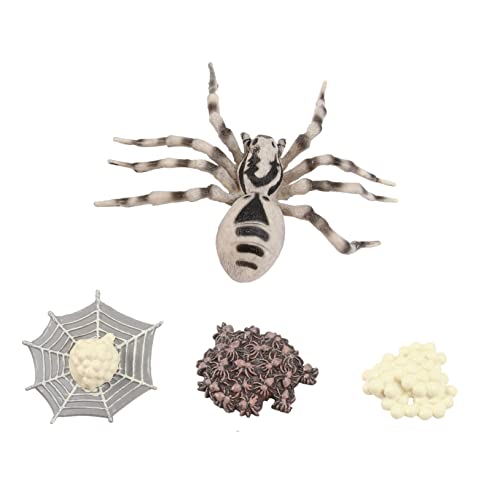 SOIMISS Simulation Tiermodell Wolfsspinne Material Tierwachstum Kinderparty Dekoration Lernspielzeug für Jungen Mädchen Kreative Sammlung von SOIMISS