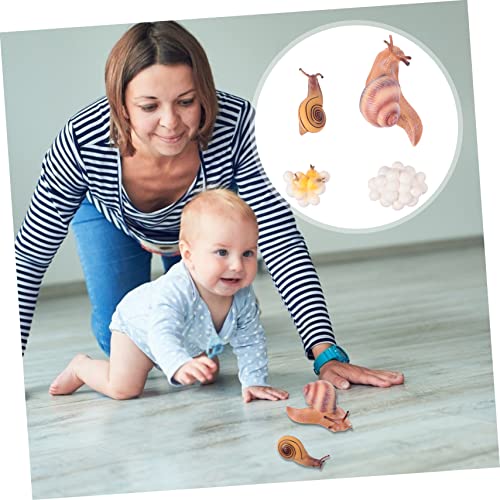 SOIMISS Simulierte Tiermodelle Set Umweltfreundlich Lebensecht Wachstum Garten Dekoration Lernspielzeug für Lehrmittel Vielfältige Formen von SOIMISS