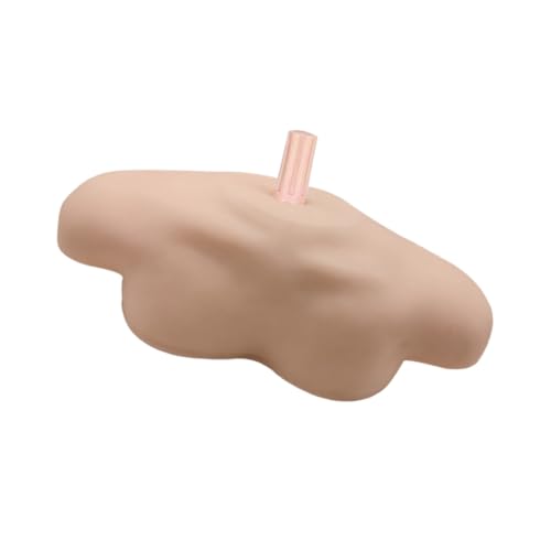 SOIMISS Steckbares Schultermodell aus PVC Stabiles Modelldisplay mit Feiner Verarbeitung Hitzebeständig und Stoßfest Vielseitig Einsetzbar für Salon Laden und Ausbildung Praktisches und von SOIMISS