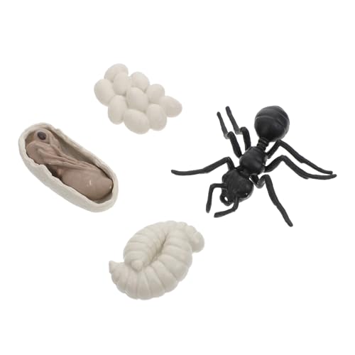 SOIMISS Worker Ants Growth Cycle Modelle Teiliges Realistische Kunststoff Ameisen Evolution für Pädagogisch Intellektuell Naturwissenschaft Lernhilfe für Zuhause und Unterricht SOIMISS Worker Ants Growth Cycle Modelle Teiliges Realistische Kunststoff Ameisen Evolution für Pädagogisch Intellektuell Naturwissenschaft Lernhilfe für Zuhause und Unterricht von SOIMISS